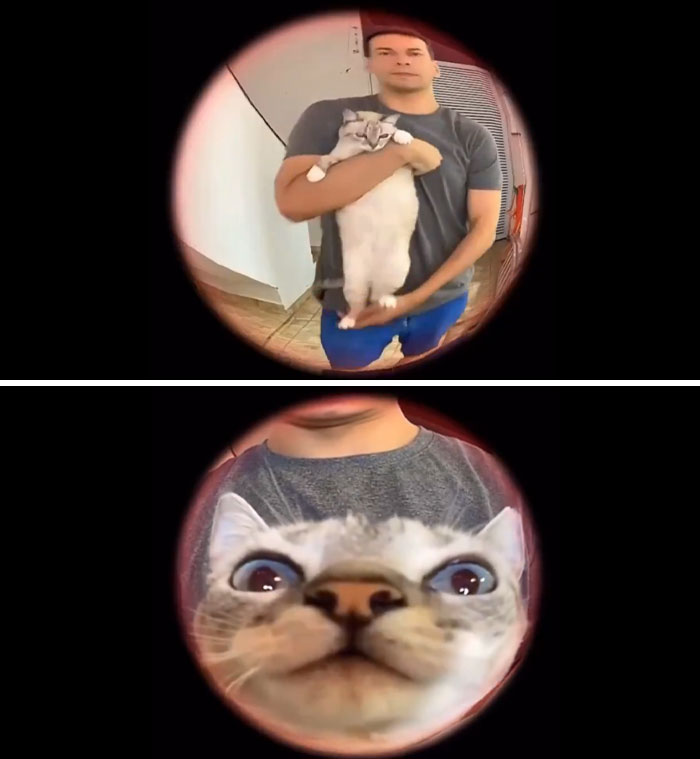 Man holding a cat with a wholesome kind neighbors vibe seen through a peephole in a residential hallway.