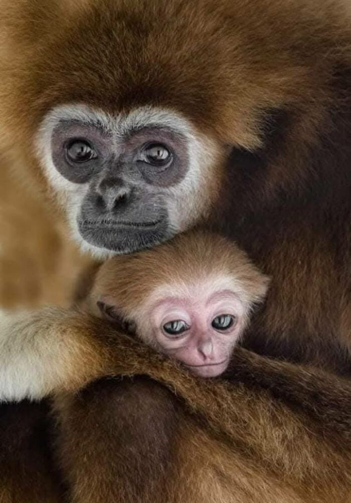 “From Skopje Zoo To The World: How My Wildlife Photos Captivated Global Media Without Ever Leaving Macedonia”