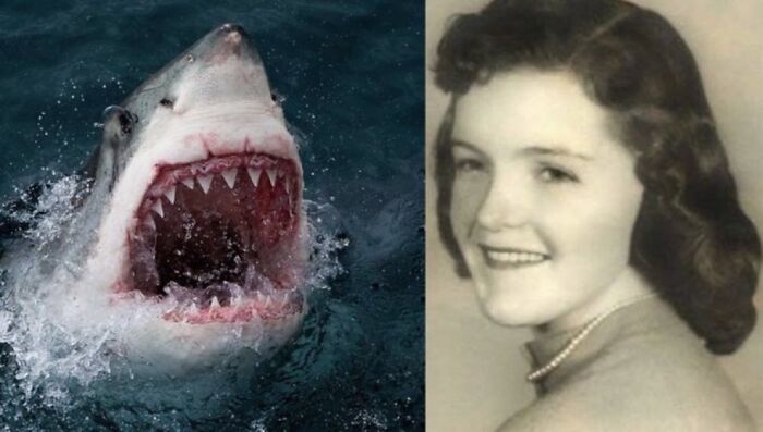 Great white shark surfacing with open jaws next to a vintage black and white photo of a smiling woman, unsettling image.