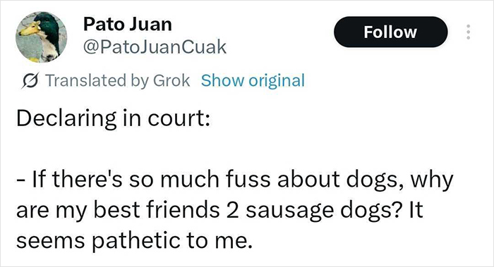 Screenshot of a tweet from celebrity duck Pato Juan humorously declaring in court about his best friends being two sausage dogs.