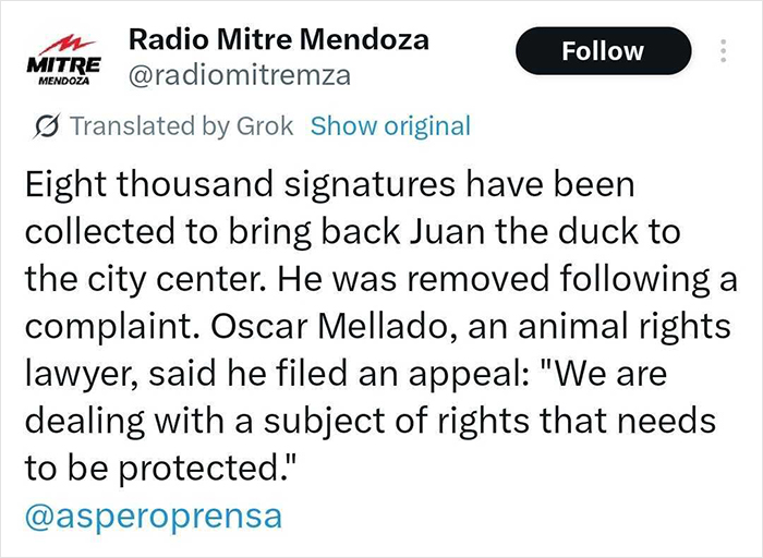 Tweet about celebrity duck Juan gaining legal support after removal from city center, sparking mass support and petitions.