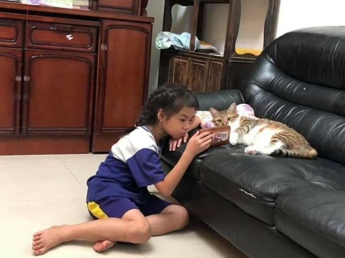Young girl in a casual outfit watching a phone screen with two curious cats on a black leather couch indoors.