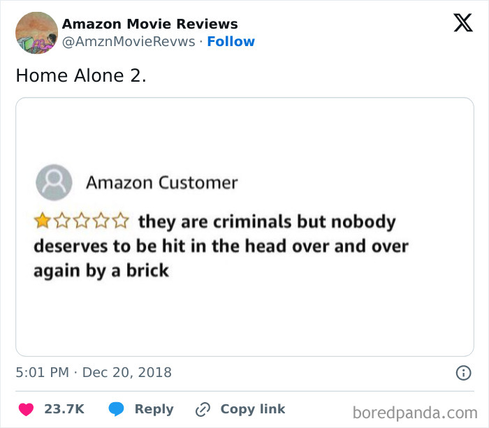 Amazon product review showing an immaculate sense of humor with a funny complaint about repeated brick hits.