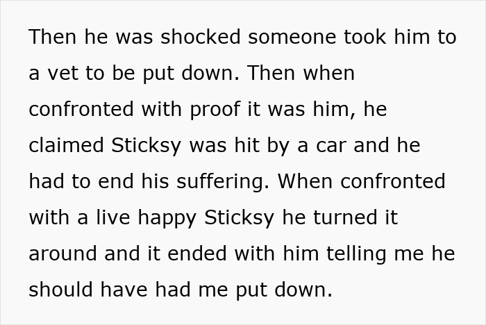 Alt text: Online outrage as boyfriend caught trying to stealthily euthanize girlfriend&rsquo;s dog, sparking heated debate and backlash.