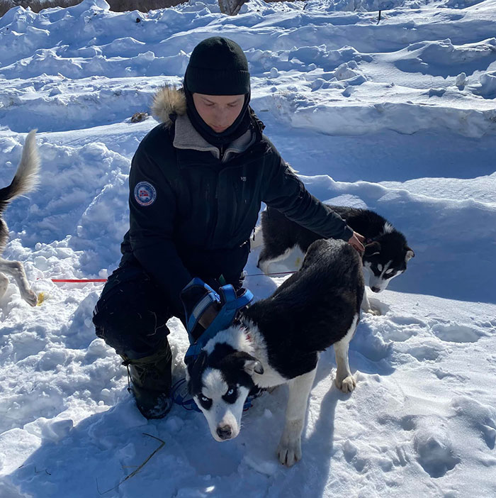 Person in winter gear kneeling in snow, handling two hiking dogs during search for missing hiker and dog.