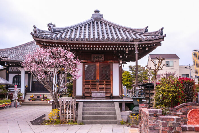 Tokyo – The Polished Mystery