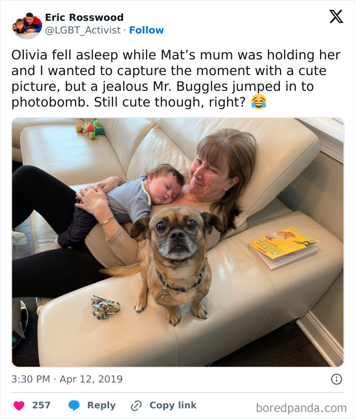 Woman holding sleeping baby on a couch with a dog photobombing, showcasing funny times pets crashed photos and stole the show.