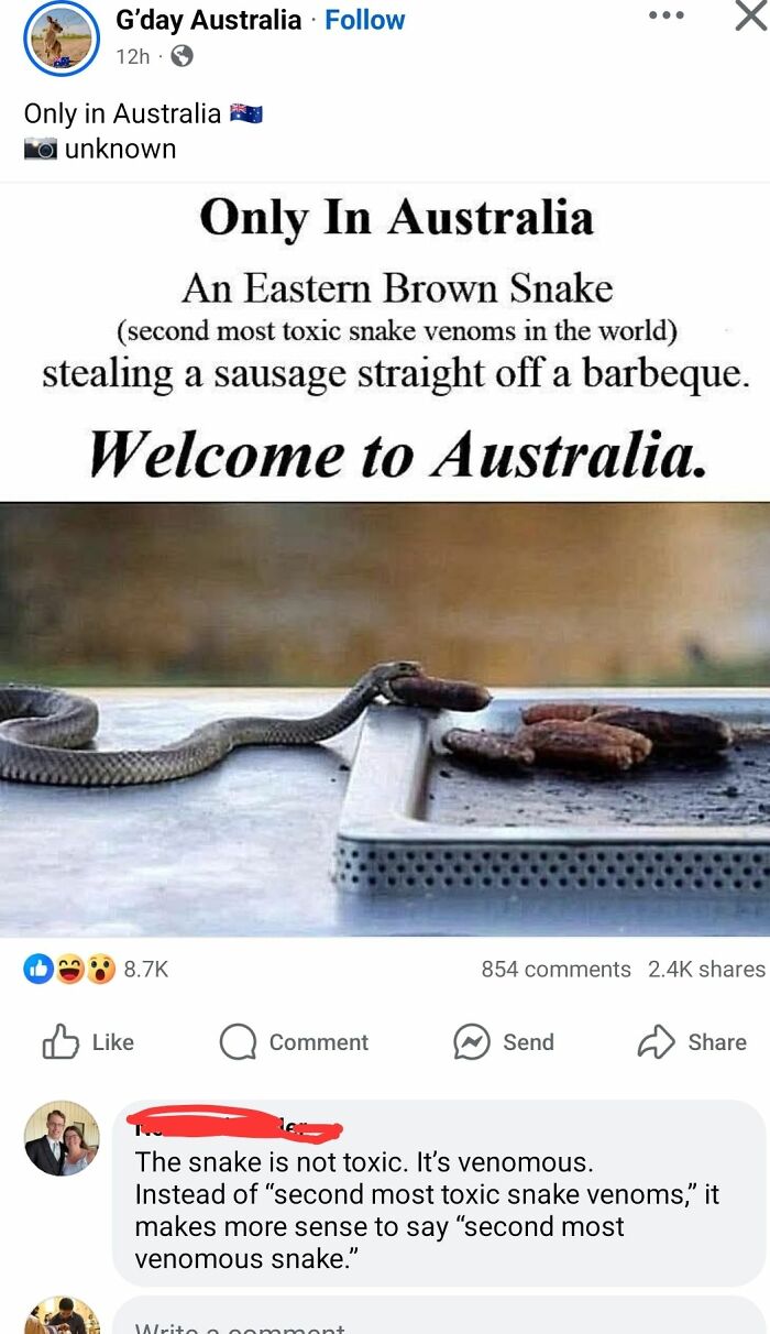 Snake stealing sausage off barbeque illustrates overconfident know-it-alls incorrectly correcting facts online.