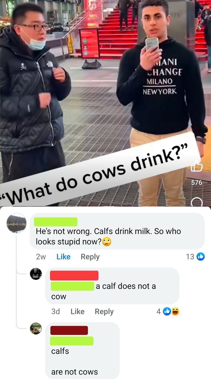 Two men debating cow facts in a public space, illustrating overconfident know-it-alls incorrectly correcting others.