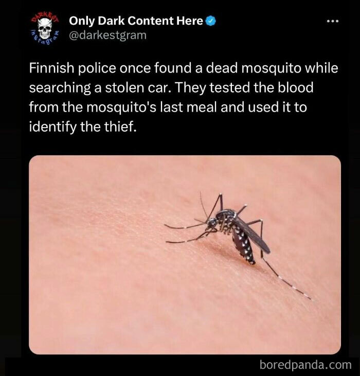Instagram post from Darkest Page on Instagram with a creepy story about police using mosquito blood to identify a thief.