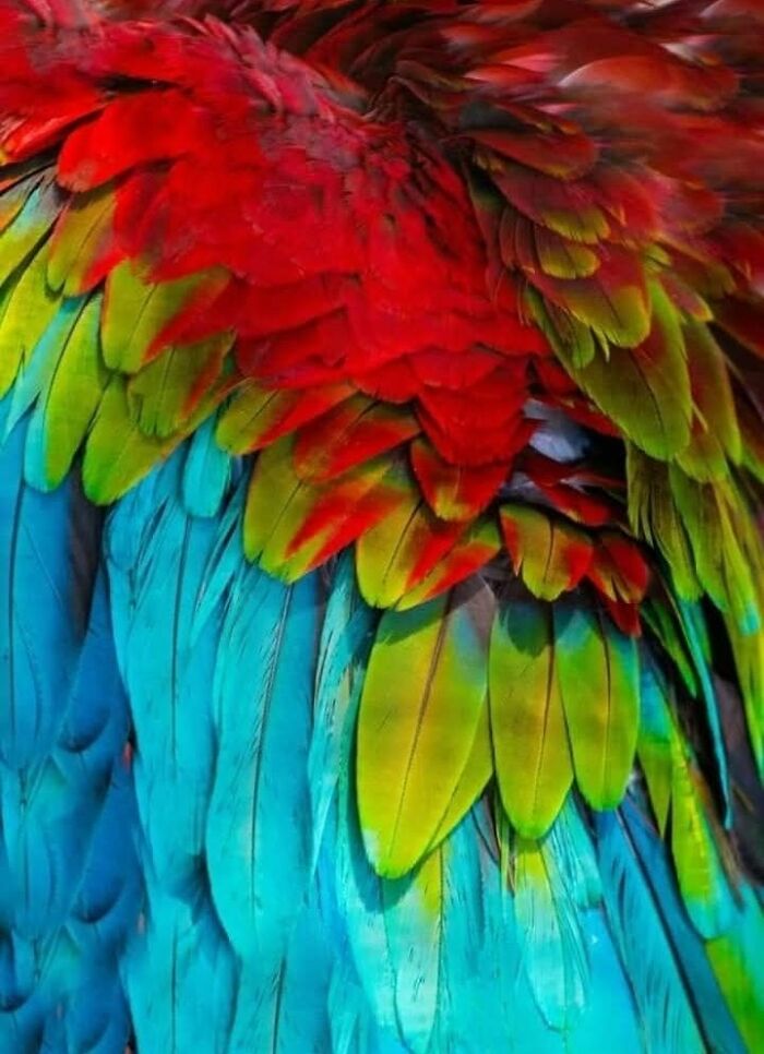 “From Skopje Zoo To The World: How My Wildlife Photos Captivated Global Media Without Ever Leaving Macedonia”