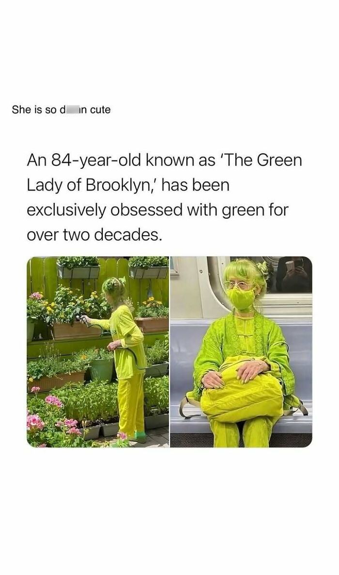 84-year-old Green Lady of Brooklyn dressed in green caring for plants and wearing matching green outfit on subway.