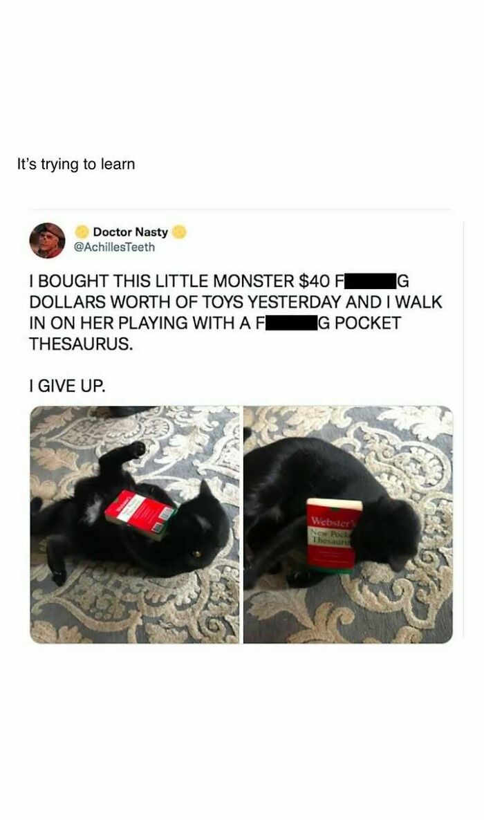 Black cat playing with a pocket thesaurus showing heartwarming posts for those sick of bad news.