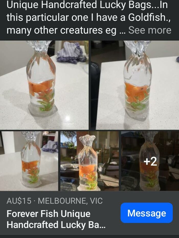 Handcrafted DIY craft project of a fake goldfish in a clear resin bag, highlighting craft shaming fails.