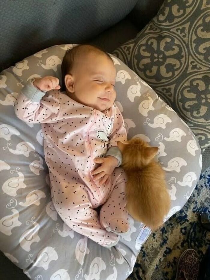 Sleeping baby in pink pajamas lying next to an adorable orange kitten on a soft gray cushion with cat patterns.