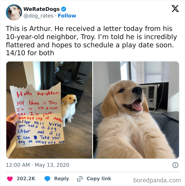 Handwritten letter from a kind neighbor offering dog sitting and a happy golden retriever puppy indoors, showing wholesome-kind-neighbors.