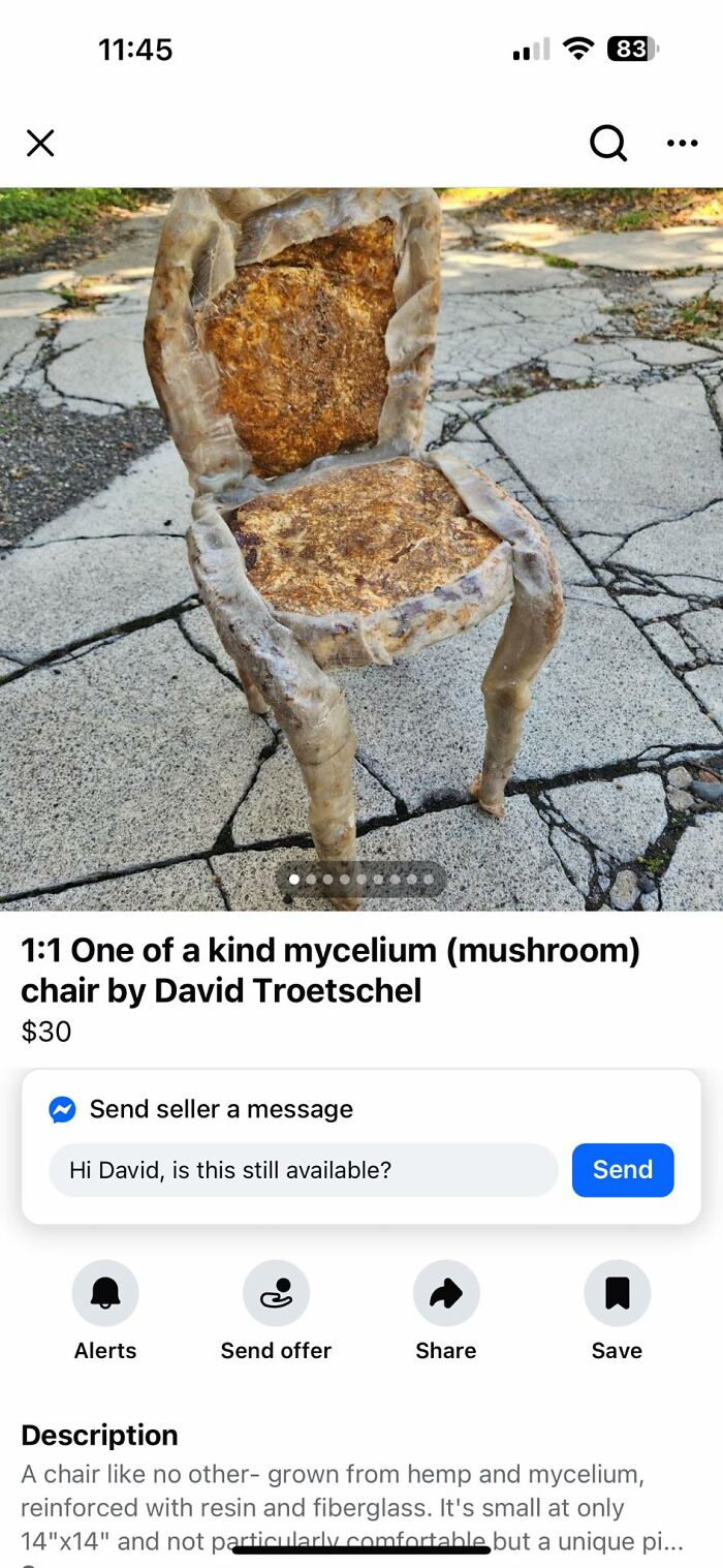 Mycelium DIY chair with hemp and resin, an unusual craft project featured in horrendous DIY projects to be shamed.