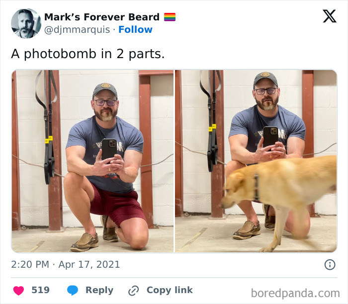 Man taking a selfie while a dog photobombs, showcasing funny times pets crashed photos and stole the show.