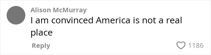 Comment stating disbelief about America not being a real place, with high engagement on social media post.