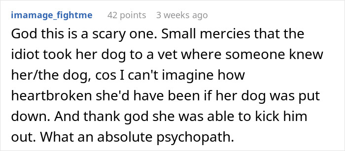 Online outrage over boyfriend attempting to stealthily euthanize girlfriend&rsquo;s dog sparks heated debate.