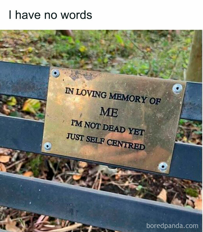 Plaque on a park bench with a humorous message, part of chaotic British memes only people from the U.K. might understand.