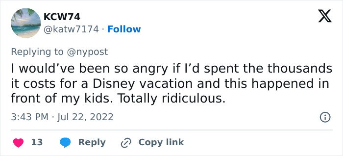 Twitter user expressing anger over a violent Disney World incident involving victim and culprit's mother revealed.
