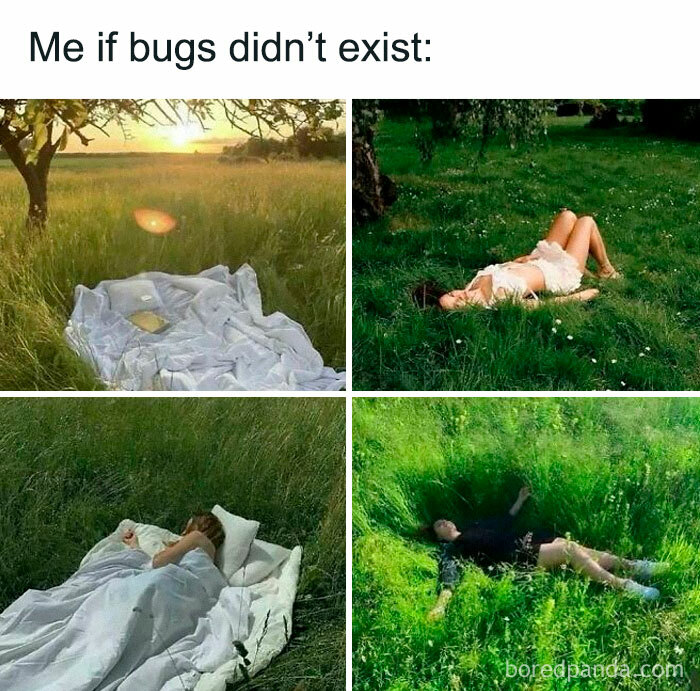 People peacefully relaxing in nature, illustrating introvert-worthy memes about enjoying solitude without bugs.