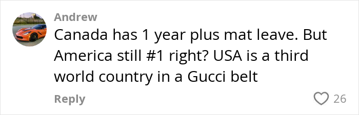 Comment by Andrew discussing maternity leave comparison between Canada and America, expressing frustration over work and family balance.