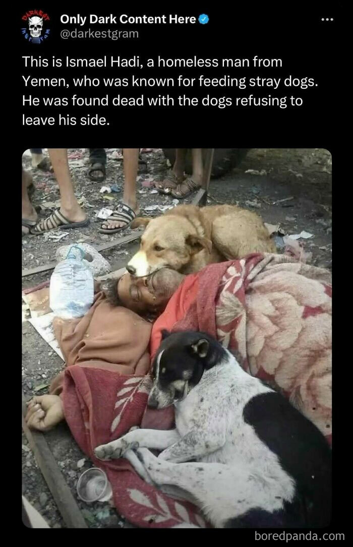 Homeless man found dead with dogs refusing to leave his side, a dark and creepy story from darkest page on Instagram.