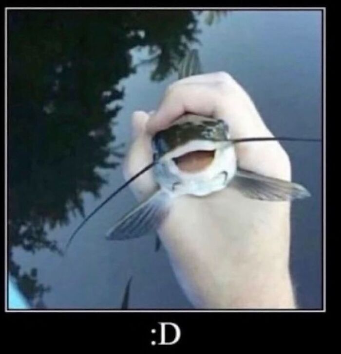 Catfish held in hand with a wide open mouth, a hilariously chaotic animal pic capturing a funny moment.