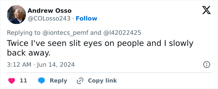 Tweet by Andrew Osso mentioning seeing slit eyes on people, reflecting a terrifying rare condition involving dragons vision.