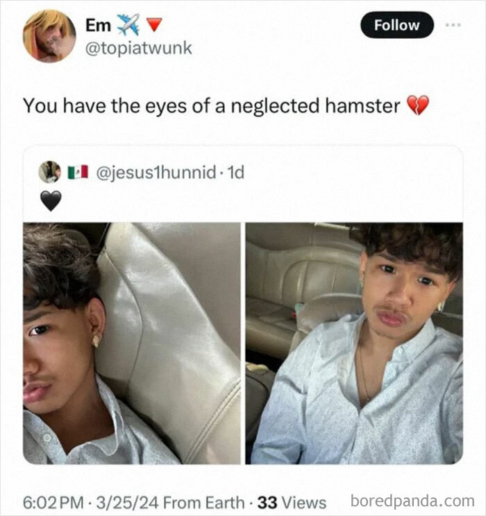 Tweet showing two selfies of a young man with a caption joking about having the eyes of a neglected hamster, meme laughter chaos.