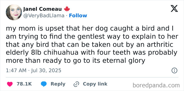 Tweet with hilarious humor about a dog catching a bird, featured in the funniest July tweets collection.