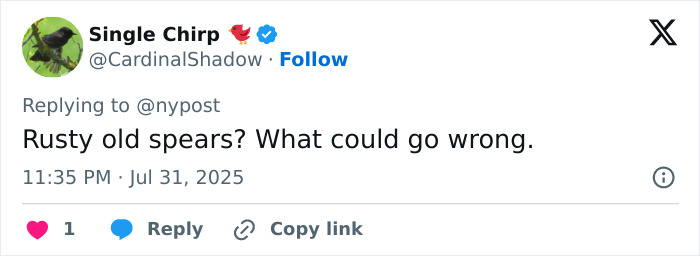 Tweet by Single Chirp replying to @nypost questioning the safety of rusty old spears in a mass circumcision ceremony discussion. - 20
