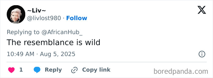 Screenshot of a social media reply about a 40-year-old Kenyan man's claim of being eldest son of Elon Musk.