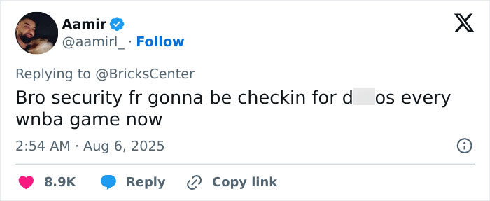 Screenshot of a viral tweet discussing increased security at WNBA games after flying dildo incident involving a WNBA star. Screenshot of a viral tweet discussing increased security at WNBA games after flying dildo incident involving a WNBA star.