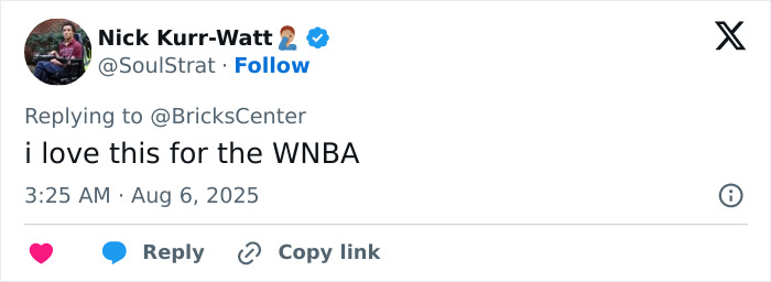 Screenshot of a tweet expressing support for the WNBA amid viral footage of flying dildo hitting a star player. Screenshot of a tweet expressing support for the WNBA amid viral footage of flying dildo hitting a star player.