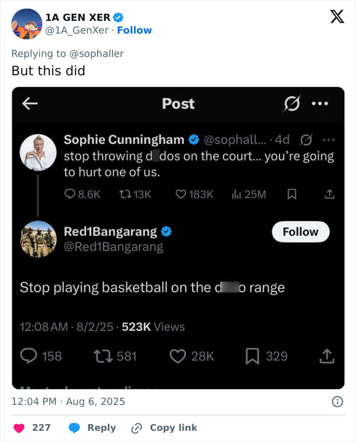 Screenshot of a Twitter exchange discussing viral footage of a flying dildo hitting a WNBA star during a game. Screenshot of a Twitter exchange discussing viral footage of a flying dildo hitting a WNBA star during a game.