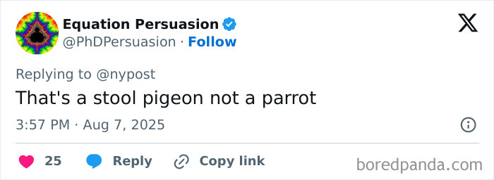 Tweet from Equation Persuasion clarifying that the bird is a stool pigeon, not a talking parrot involved in gang operation bust. Tweet from Equation Persuasion clarifying that the bird is a stool pigeon, not a talking parrot involved in gang operation bust.