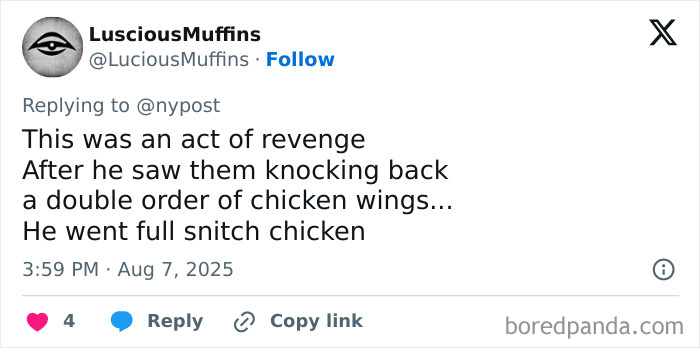 Tweet screenshot showing a user joking about a talking parrot helping bust a gang by snitching after witnessing illicit training. Tweet screenshot showing a user joking about a talking parrot helping bust a gang by snitching after witnessing illicit training.