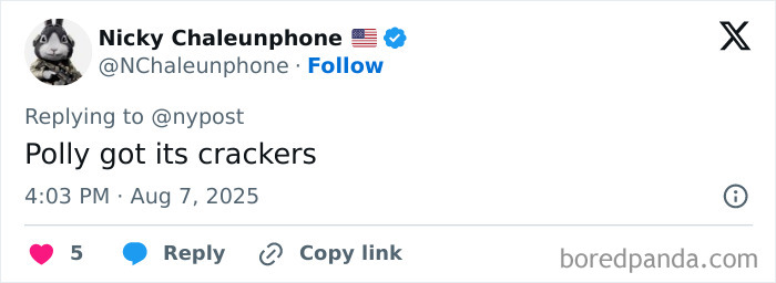 Tweet from user Nicky Chaleunphone with a talking parrot reference related to busting gang operation and illicit training footage. Tweet from user Nicky Chaleunphone with a talking parrot reference related to busting gang operation and illicit training footage.