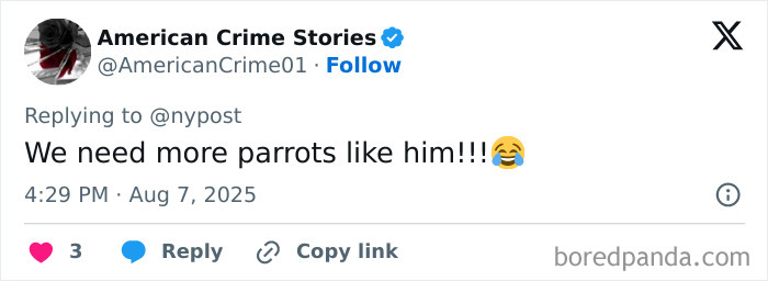 Tweet from American Crime Stories praising a talking parrot involved in busting a major gang operation with viral training footage. Tweet from American Crime Stories praising a talking parrot involved in busting a major gang operation with viral training footage.