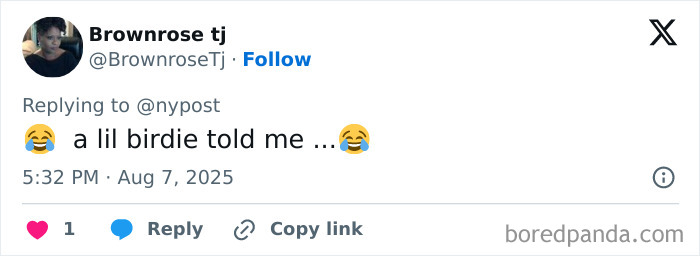 Twitter user Brownrose tj with profile picture replying humorously about a talking parrot involved in a gang operation. Twitter user Brownrose tj with profile picture replying humorously about a talking parrot involved in a gang operation.