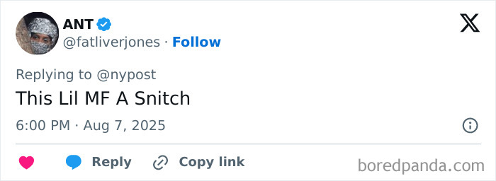 Tweet on social media commenting about a talking parrot busting a major gang operation, shown on a mobile interface. Tweet on social media commenting about a talking parrot busting a major gang operation, shown on a mobile interface.