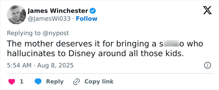 Twitter post by James Winchester commenting on the violent Disney World incident involving the victim and culprit&rsquo;s mother.