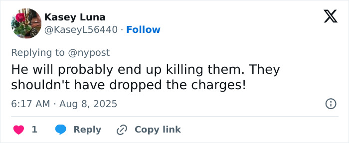 Social media comment expressing concern about violent Disney World incident and dropped charges involving victim and culprit.