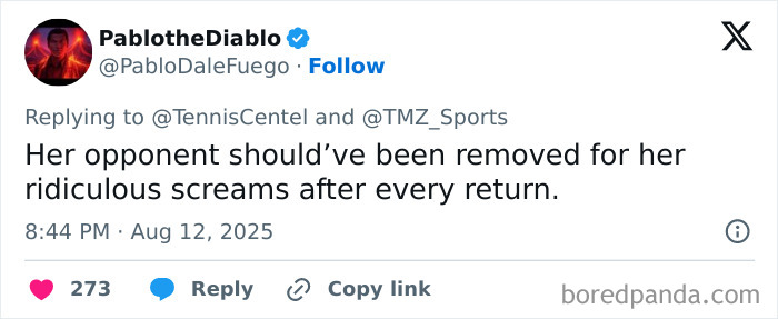 Tweet criticizing tennis star for screaming during match, highlighting diva issues and crowd reaction to meltdown caused by crying baby.