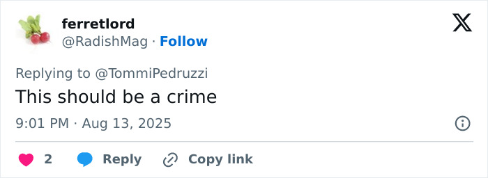 Screenshot of a social media reply expressing frustration about a 27-year-old entrepreneur using AI to publish books.