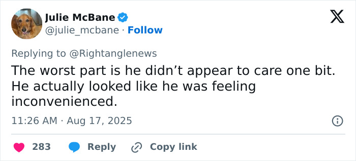 Tweet from Julie McBane criticizing a truck driver making an illegal U-turn in horrifying footage causing multiple deaths.