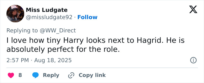 Tweet praising the actors and set of the Harry Potter series, highlighting the perfect casting of Harry and Hagrid. Tweet praising the actors and set of the Harry Potter series, highlighting the perfect casting of Harry and Hagrid.